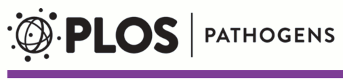 Plos Pathogens