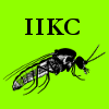 Icone IIKC